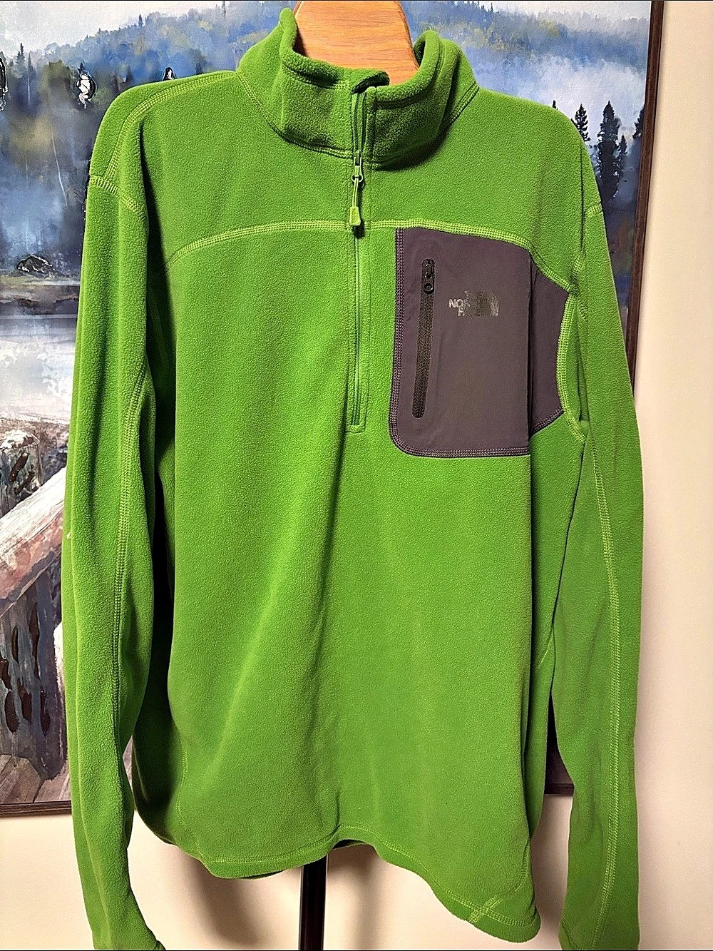 The North Face TNF Performance Fleece Quarter-Zip Men's Green & Gray Large